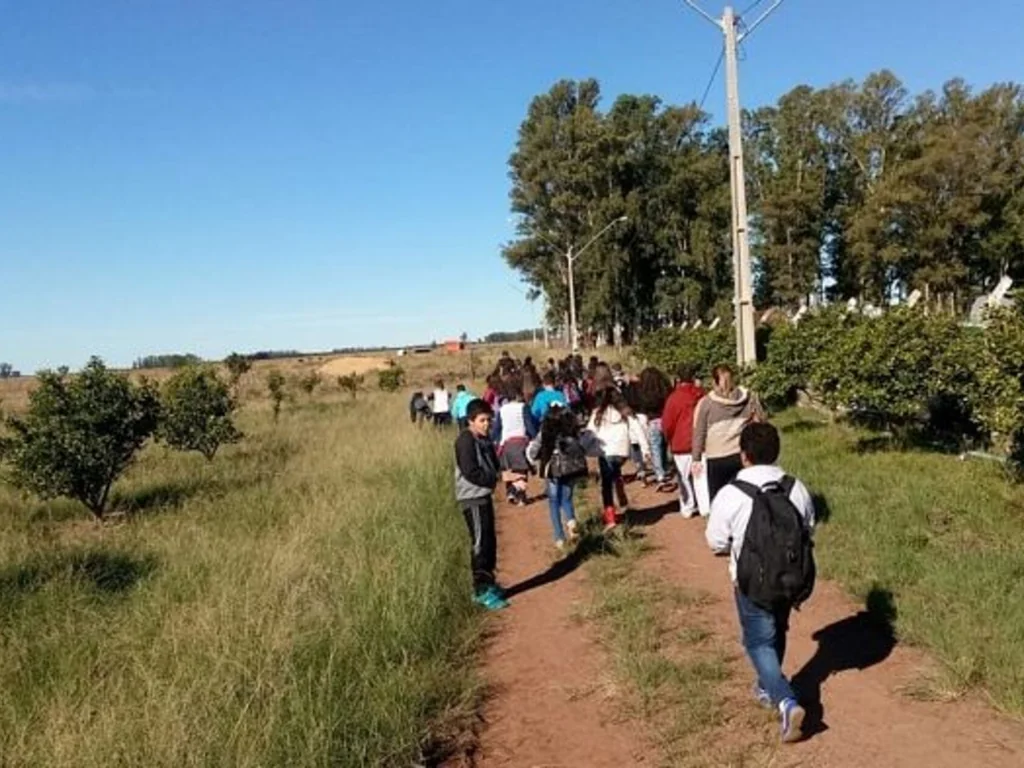 Estudantes do ensino fundamental visitam Colégio Agrícola