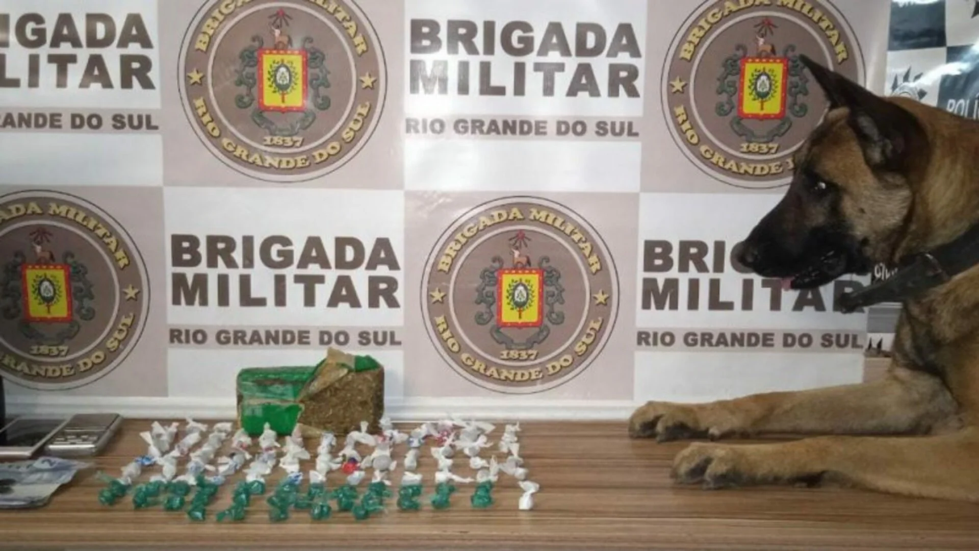 Estado apresenta aumento de 46% em apreensões de drogas