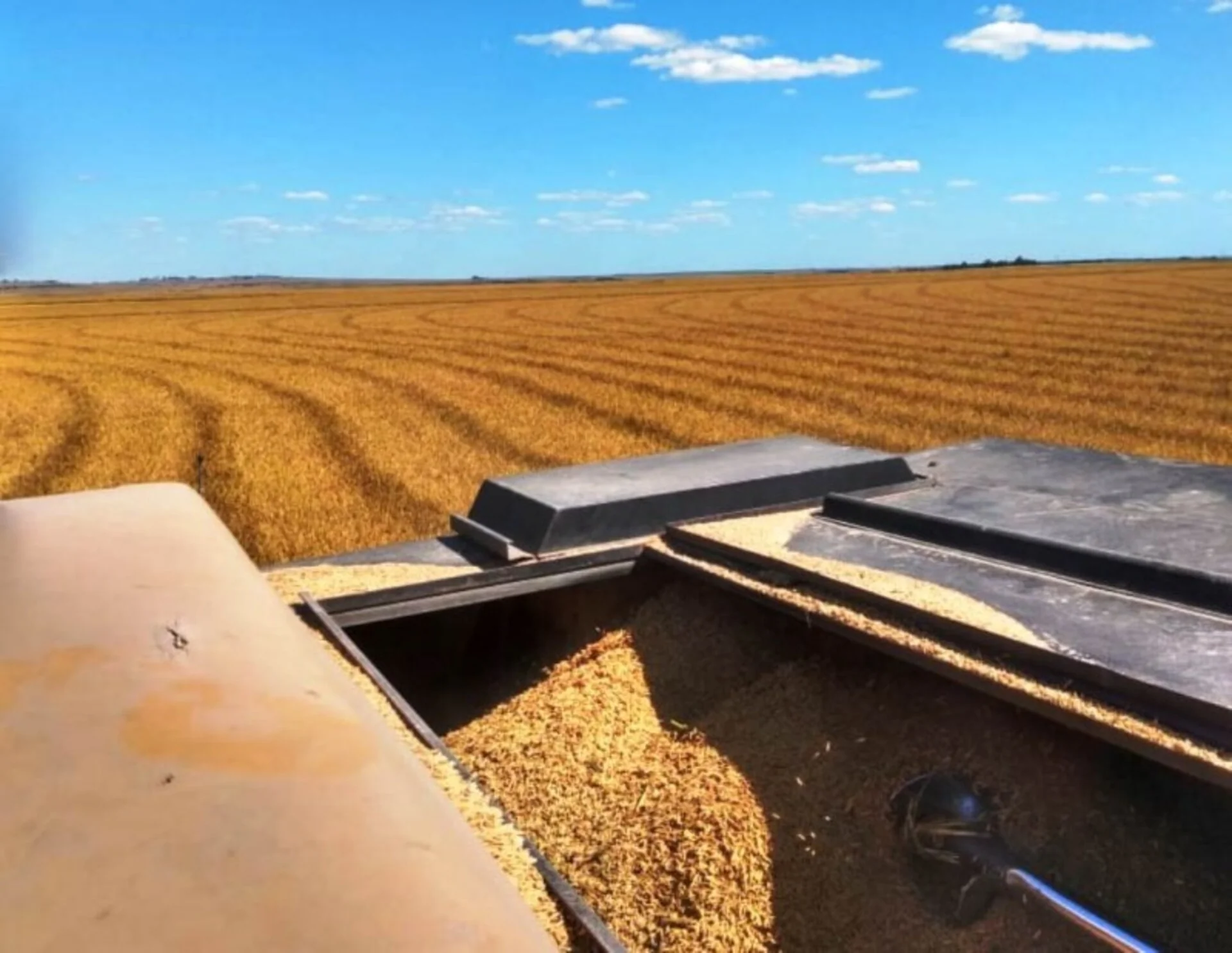 Agricultura familiar terá R$ 76 bilhões para produção