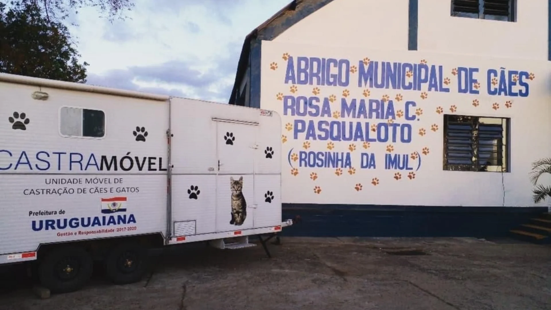 Meio Ambiente busca zerar fila por castrações