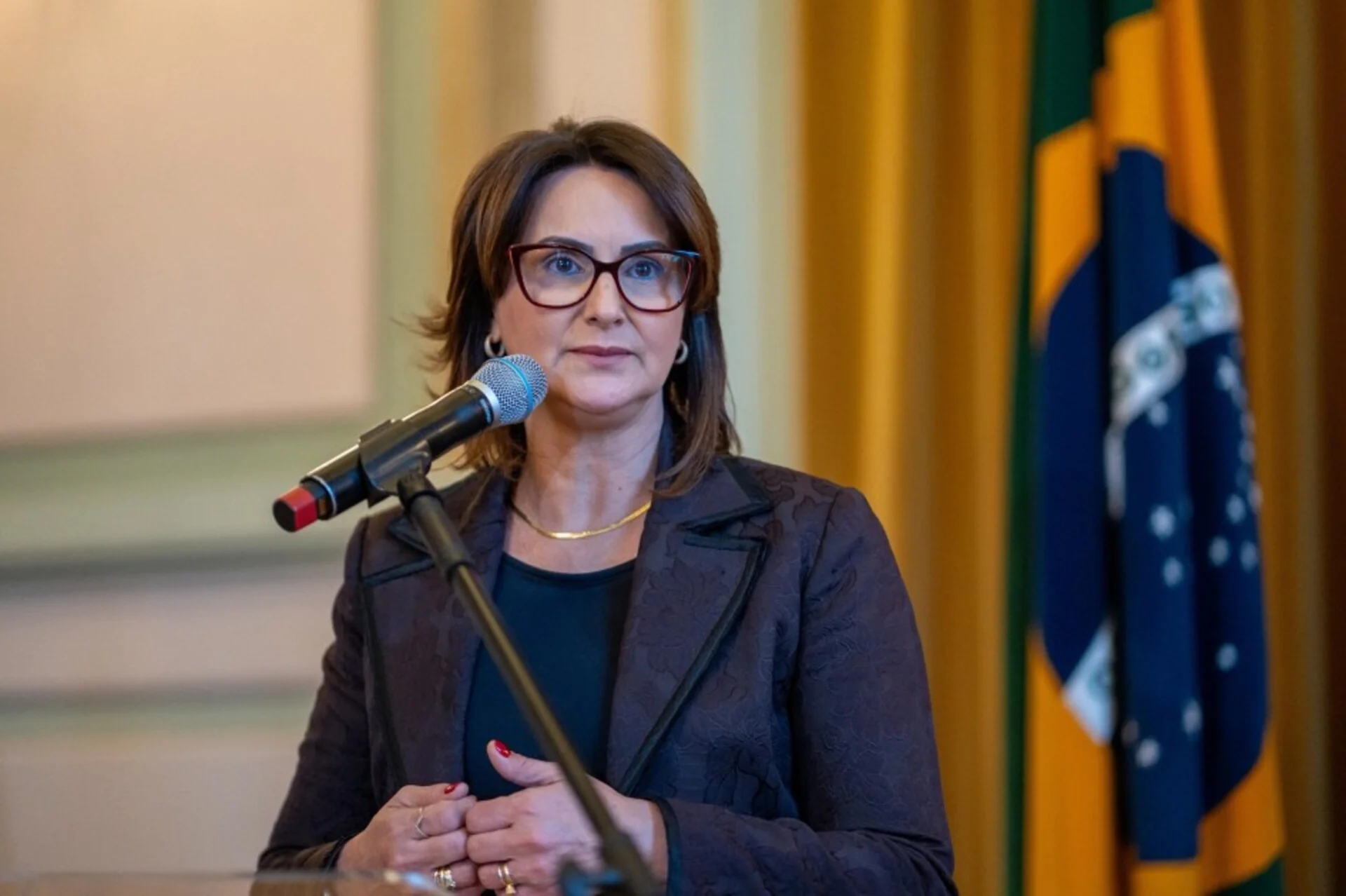 Rede de articulação com os municípios é prioridade, diz Secretária