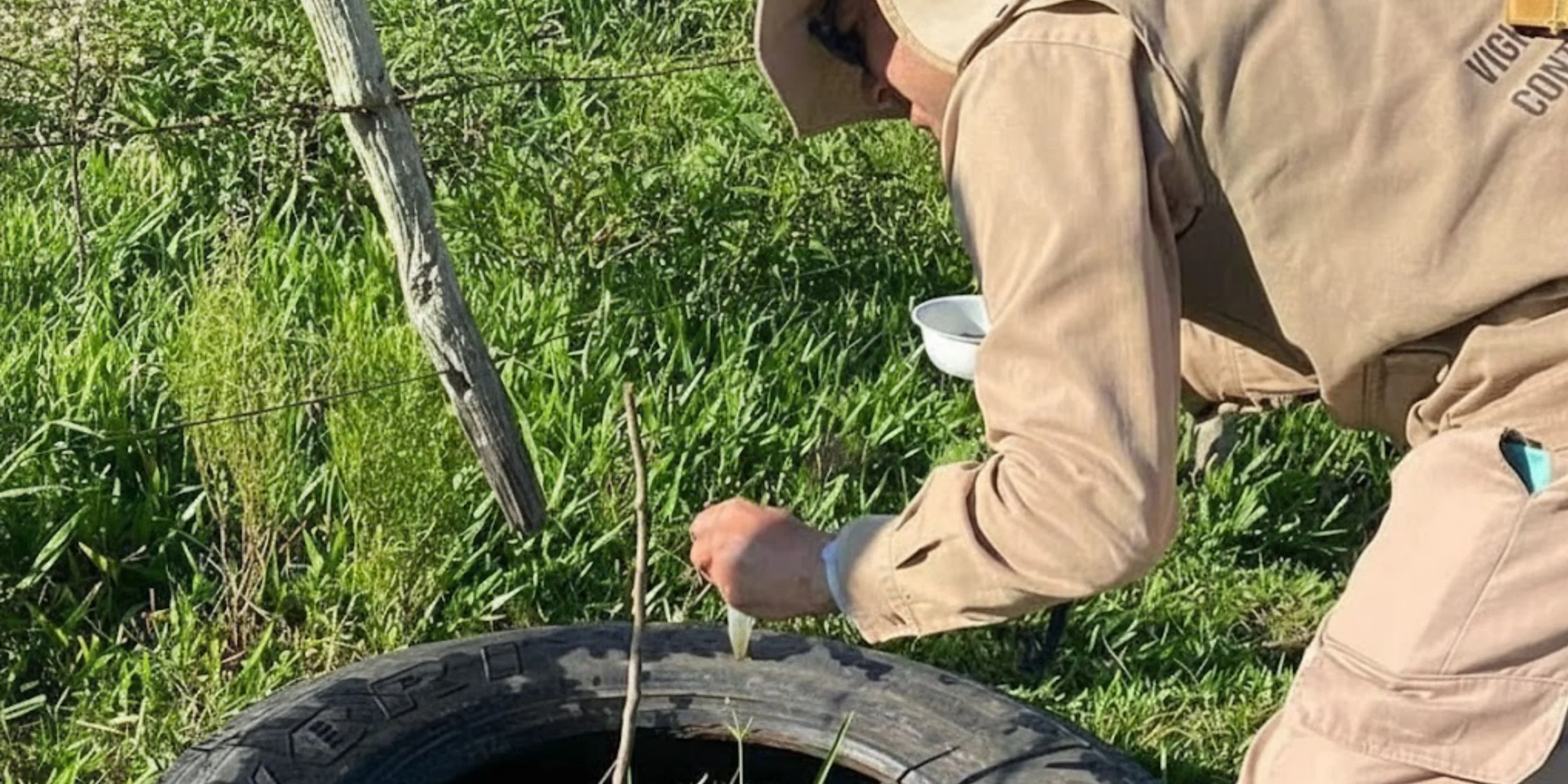 Indicadores da dengue seguem estáveis em dezembro