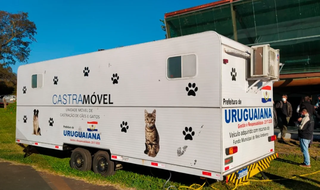Castrações e acolhimento de animais abandonados retornam em janeiro