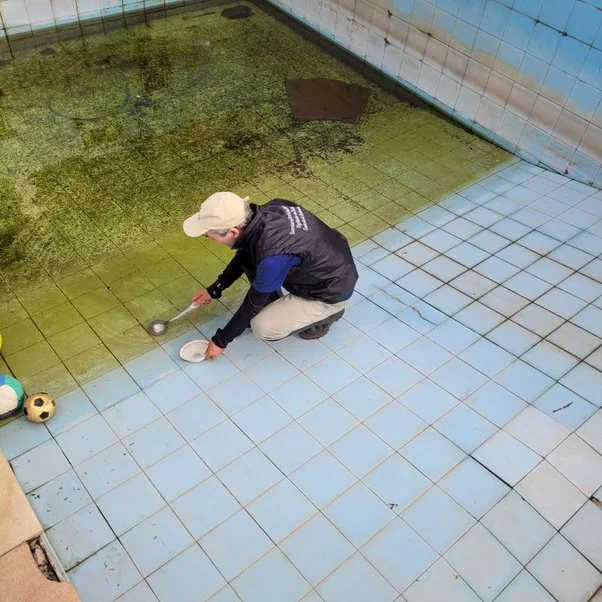 LIRAa aponta situação de alerta para dengue